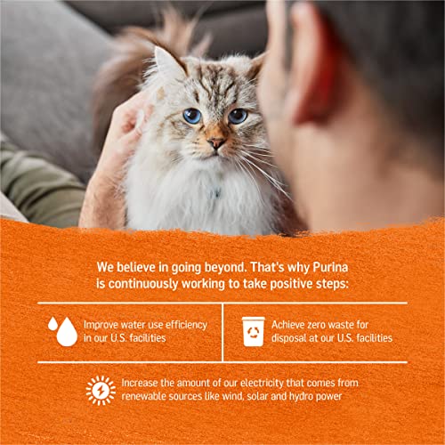 Purina Beyond Grain-Free Pate Cat Food Variety Pack