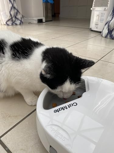 Cat Mate C300 Automatic Pet Feeder for Cats