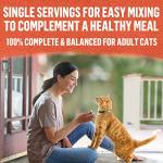Beyond Natural Cat Food Complement | Digestive Support
