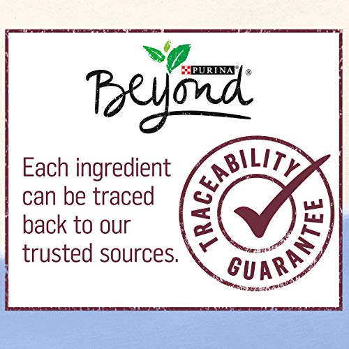 Purina Beyond Grain Free Trout & Catfish Pate