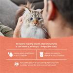 Grain Free Salmon & Sweet Potato Cat Food - (12) 3 oz. Cans