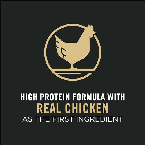 Pro Plan High Protein Cat Food - Chicken & Rice