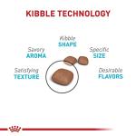 Royal Canin Urinary Care Adult Cat Food, 6 lbs