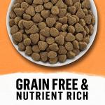 Grain Free Chicken & Egg Cat Food - 3 LB