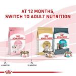 Royal Canin Kitten Gravy Cat Food, 3 oz (24 cans)