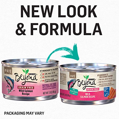 Purina Beyond Grain Free Wild Salmon Cat Food - (12) 3 oz. Cans