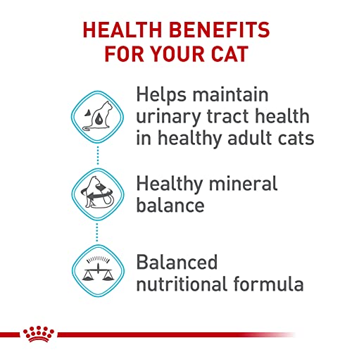 Royal Canin Urinary Care Adult Cat Food, 6 lbs