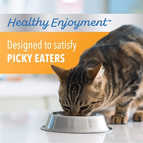 Iams Healthy Chicken & Salmon Cat Food, 3 lb