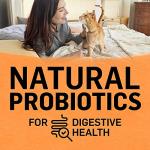 Grain Free Chicken & Egg Cat Food - 3 LB