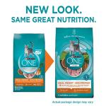 Purina ONE High Protein Turkey Cat Food - 7 lb