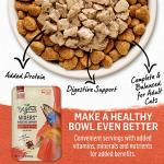Beyond Natural Cat Food Complement | Digestive Support