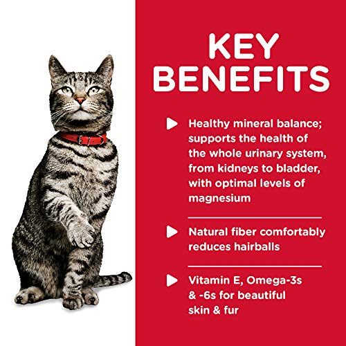 Science Diet Wet Cat Food, Urinary Hairball Control