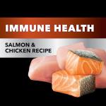 IAMS Salmon and Chicken Adult Cat Food, 3.5 lbs