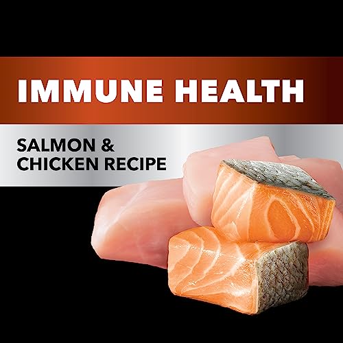 IAMS Salmon and Chicken Adult Cat Food, 3.5 lbs