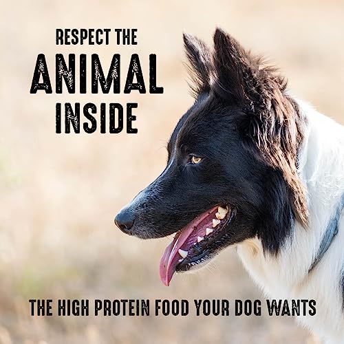 Cats' Delight: Grain-Free High Protein Dry Cat Food