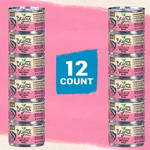 Purina Beyond Grain Free Wild Salmon Cat Food - (12) 3 oz. Cans
