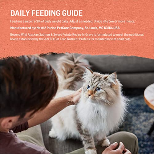 Grain Free Salmon & Sweet Potato Cat Food - (12) 3 oz. Cans