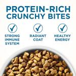 Purina ONE Senior Indoor Advantage Cat Food - 7 lb