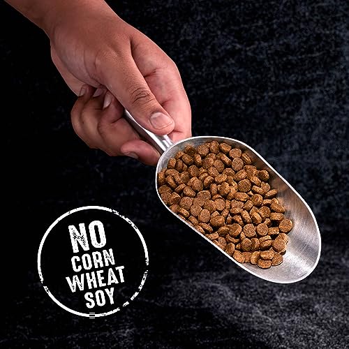CRAVE Grain Free High Protein Cat Food, Fish & Salmon, 4lb. Bag