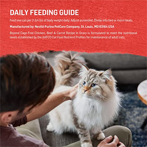 Cage-Free Chicken, Beef & Carrot Wet Cat Food - 3 oz