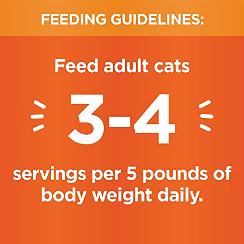 IAMS Grain Free Wet Cat Food, Chicken Recipe, (Pack of 24)