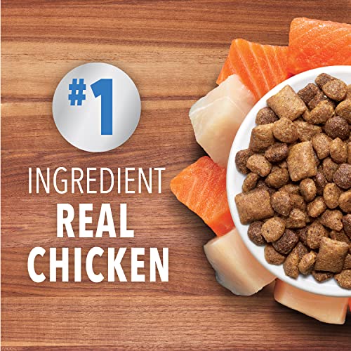 Iams Healthy Chicken & Salmon Cat Food, 3 lb