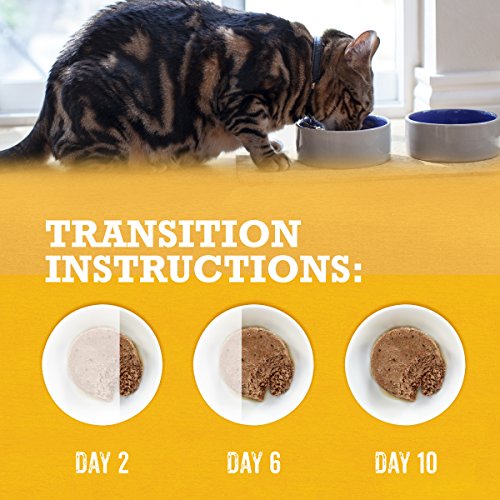 Purina Beyond Grain-Free Pate Cat Food Variety Pack