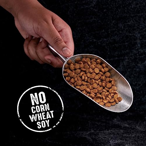 Cats' Delight: Grain-Free High Protein Dry Cat Food