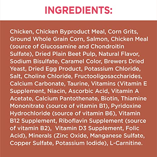 IAMS High Protein Adult Cat Food, Chicken & Salmon, 3 lb