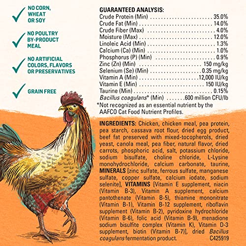 Grain Free Chicken & Egg Cat Food - 3 LB