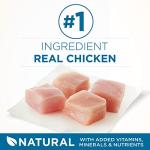 Purina ONE Senior Indoor Advantage Cat Food - 7 lb