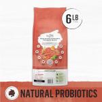 Purina Beyond Simply Salmon Cat Food - 6 lb. Bag