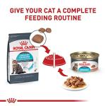 Royal Canin Urinary Care Adult Cat Food, 6 lbs