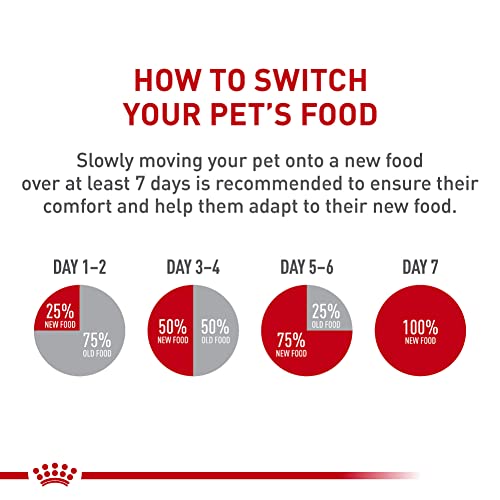 Royal Canin Kitten Gravy Cat Food, 3 oz (24 cans)