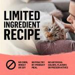 Purina Beyond Indoor Grain Free Cat Food, 11 LB