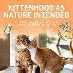 Purina Beyond High Protein Kitten Chicken & Oatmeal