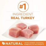 Purina ONE High Protein Turkey Cat Food - 7 lb