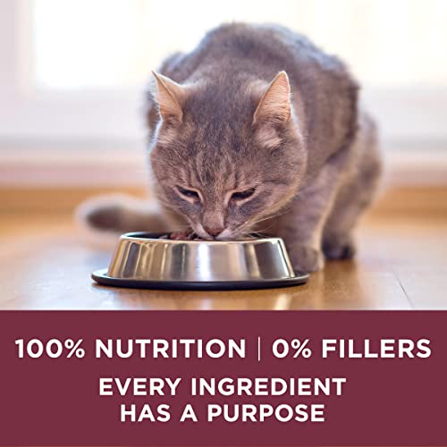 Purina ONE Cat Food, High Protein +Urinary Tract Health 7lb