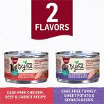 Purina Beyond Variety Pack: Wet Cat Food Gravy