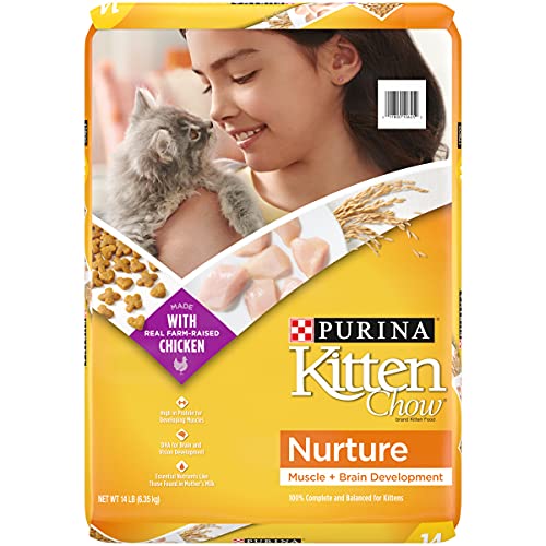 Purina Kitten Chow for Healthy Muscle + Brain - 14 lb. Bag