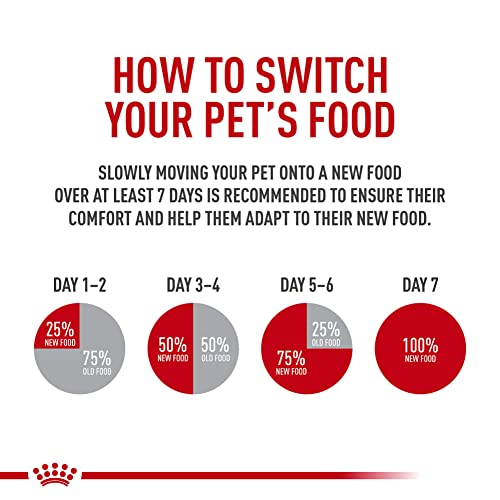 Royal Canin Digestive Care Cat Food, 6lb