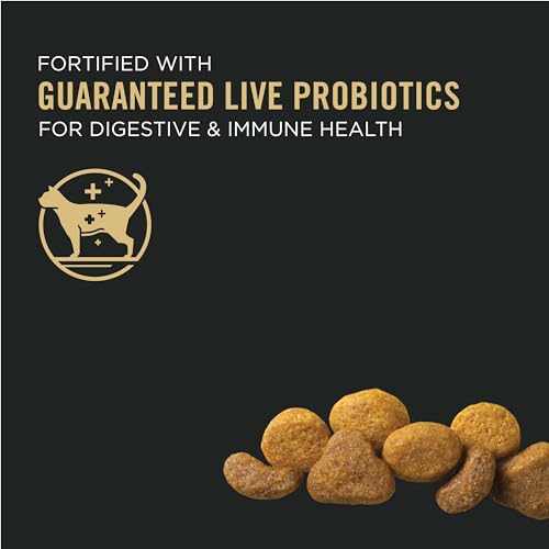 Pro Plan High Protein Cat Food - Chicken & Rice