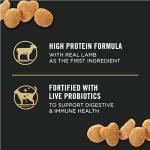 Purina Pro Plan Sensitive Skin and Stomach Cat Food - 7 lb. Bag