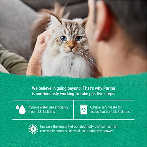 Purina Beyond Grain Free Ocean Whitefish Cat Food