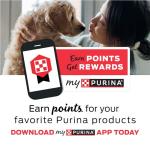 Purina Beyond Variety Pack - Immune Support - 8 Pouches