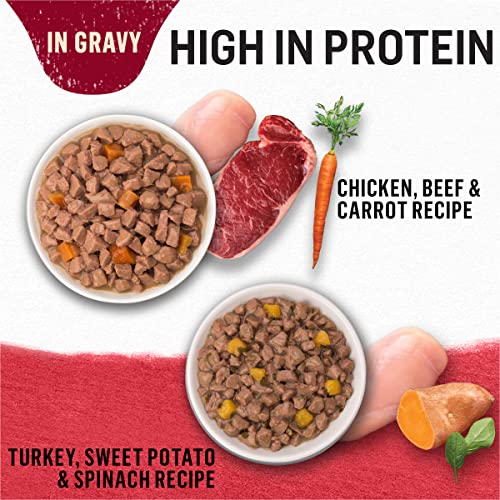Purina Beyond Variety Pack: Wet Cat Food Gravy