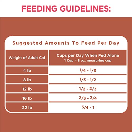 IAMS High Protein Adult Cat Food, Chicken & Salmon, 3 lb