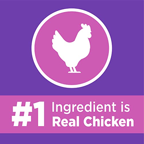 IAMS Healthy Kitten Cat Food - Chicken, 16lb