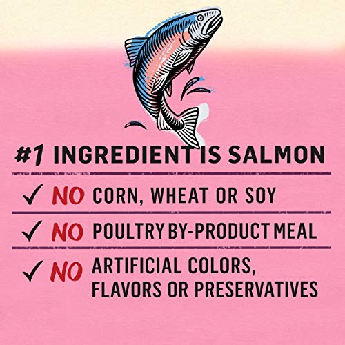 Purina Beyond Grain Free Wild Salmon Cat Food - (12) 3 oz. Cans