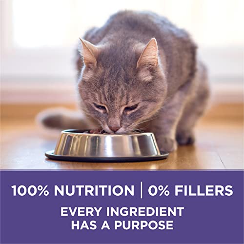 Purina ONE Hairball Control Cat Food - 16 lb